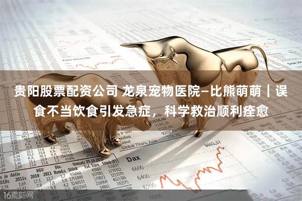 贵阳股票配资公司 龙泉宠物医院—比熊萌萌｜误食不当饮食引发急症，科学救治顺利痊愈