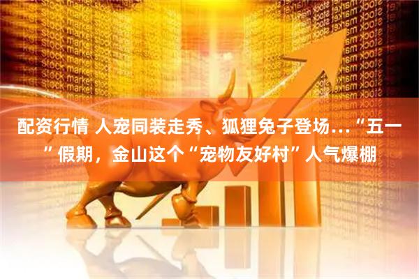 配资行情 人宠同装走秀、狐狸兔子登场…“五一”假期，金山这个“宠物友好村”人气爆棚